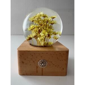Flower Crystal Ball Night Light Glass Ball Night Lamp with Wooden Base LN